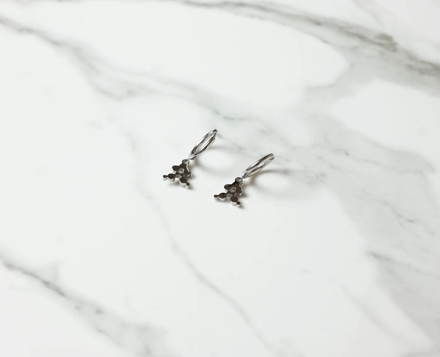 A Iconic Silver Earrings