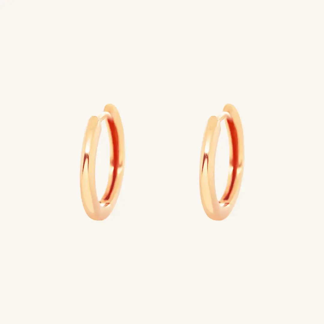 Ari Hoops