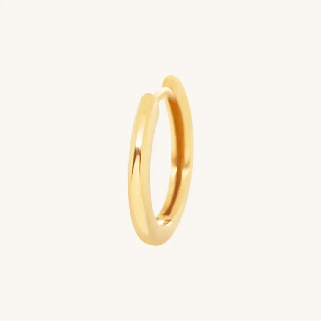 Ari Hoops
