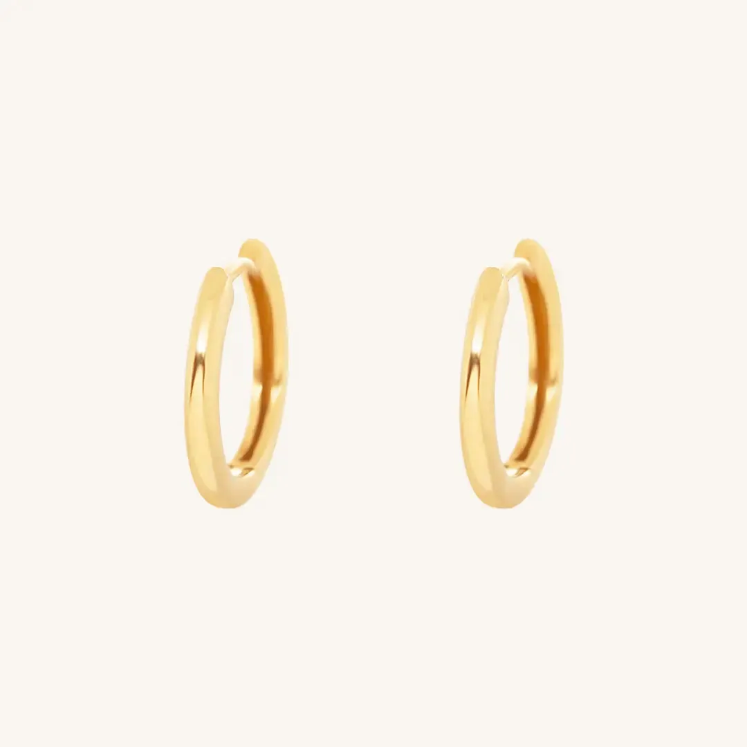 Ari Hoops