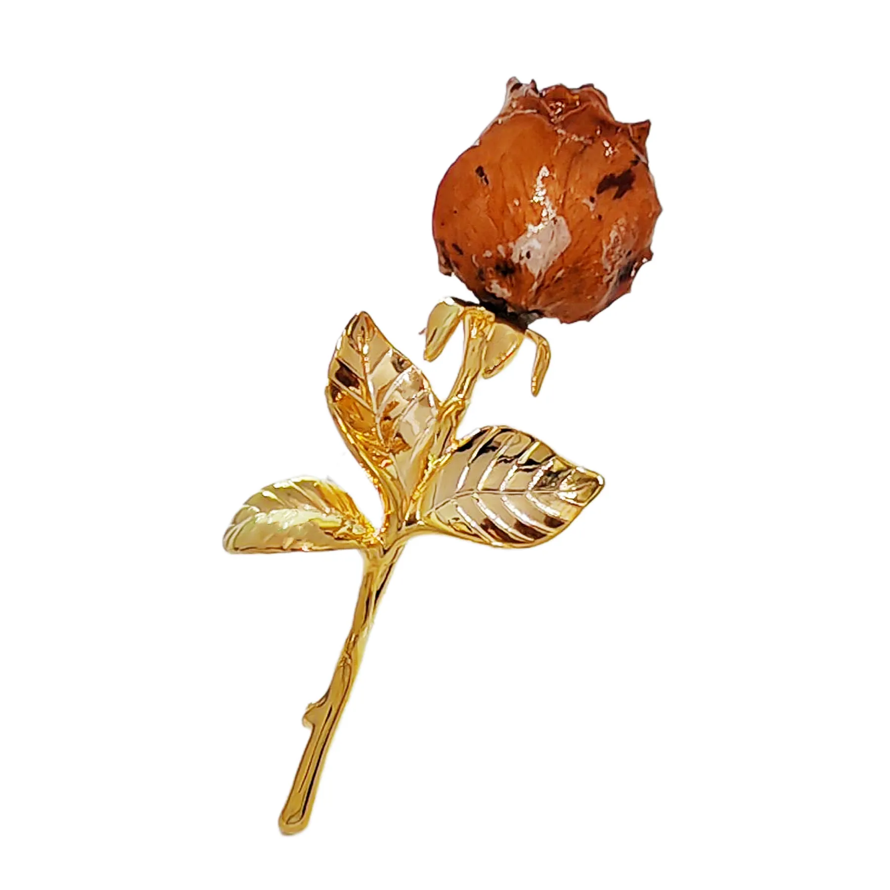 Gorgeous Real Dried Rose Bud Lapel Pin Brooch Gold Tone