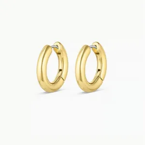 Lou Hoops-Stainless Steel Post