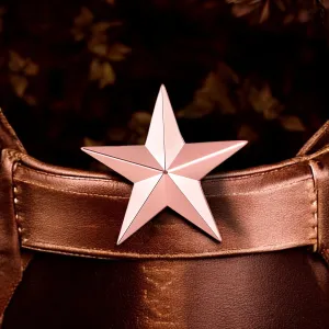 Shining Star Lapel Pin Badge