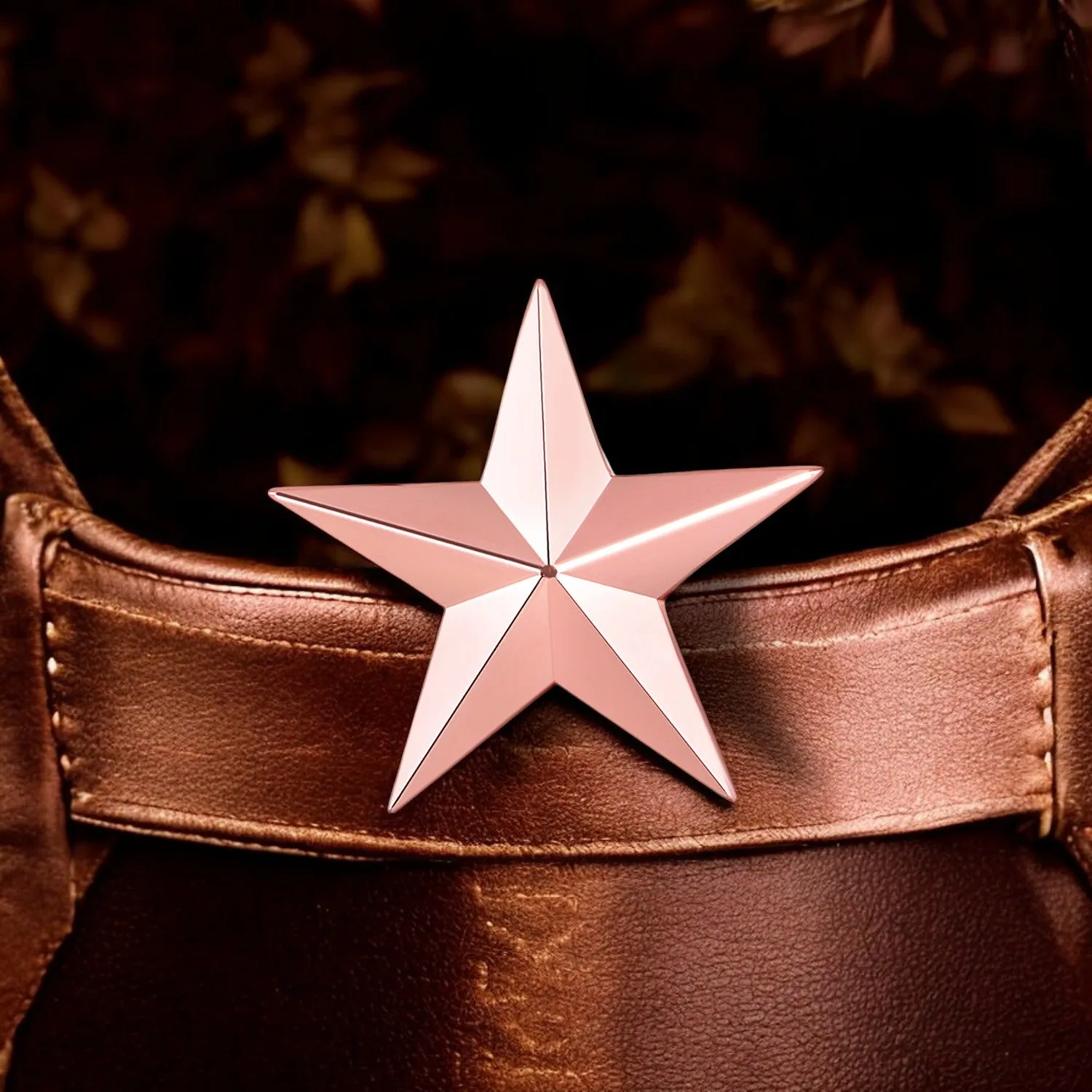 Shining Star Lapel Pin Badge